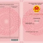 Cần bán đất 46m2 đất mặt đường Đông Ngàn, Đông Hội, Đông Anh