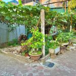 Bán đất Lại Đà, Đông Hội 42,5m² – Gần cầu Tứ Liên, giá chỉ 115 triệu/m², vị trí trung tâm