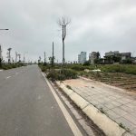 Bán đất tái định cư 80m² Mai Hiên, Mai Lâm, Đông Anh – Đường 30m, giá 215 triệu/m²