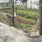 Bán đất 51,3m² tại Đông Trù, Đông Anh – Gần cầu Đông Trù, giá chỉ 105 triệu/m²